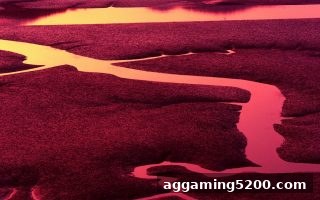 jdb电子下载地址：合成与拆分投注的深度解析与实战技巧