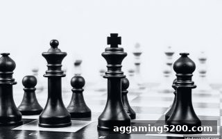 从推牌九角色划分到实战策略：jdb电子下载地址助你掌握棋牌博弈精髓