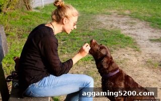 签到抽奖全解析：jdb电子下载地址带你洞悉合规与乐趣