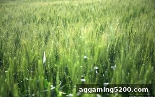 老用户专属回馈活动详解：SG飞艇携手jdb电子下载地址带来丰厚福利