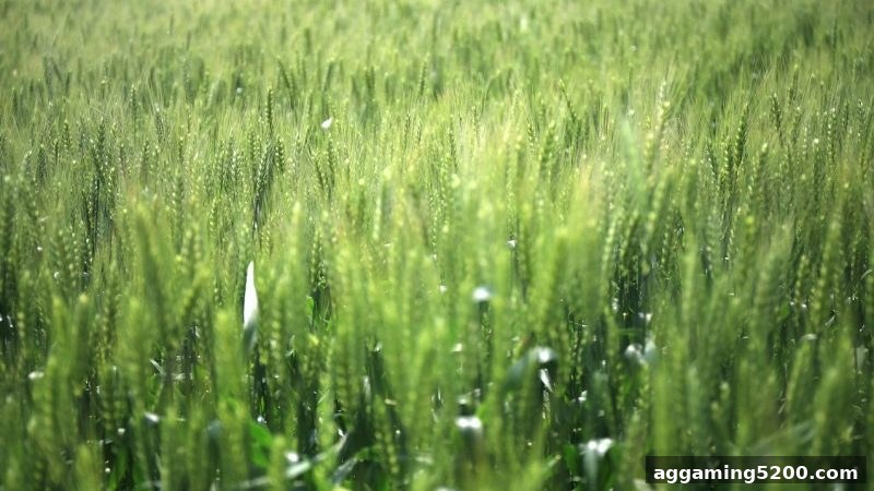 老用户专属回馈活动详解：SG飞艇携手jdb电子下载地址带来丰厚福利