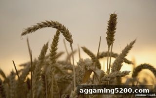 每日签到红包与欧洲杯观赛福利全攻略：jdb电子下载地址实测指南