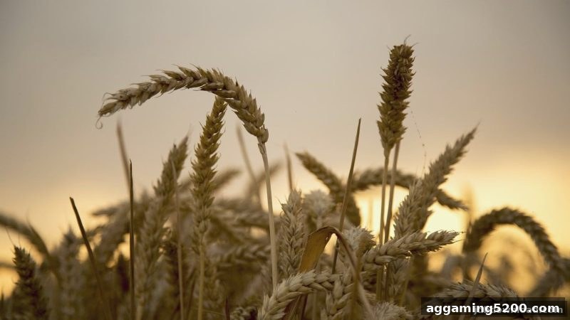 每日签到红包与欧洲杯观赛福利全攻略：jdb电子下载地址实测指南