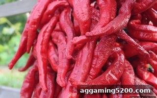 游戏流水返利深度攻略：通过jdb电子下载地址解锁更优回馈方案