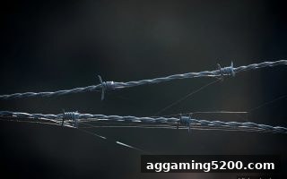 极速赛车出款速度提升指南：jdb电子下载地址平台资金流动与操作策略