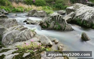 Dota2赛事比分预测与平台安全指南：jdb电子下载地址助力稳健充值